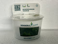 MONOSOLENIUM TENERUM